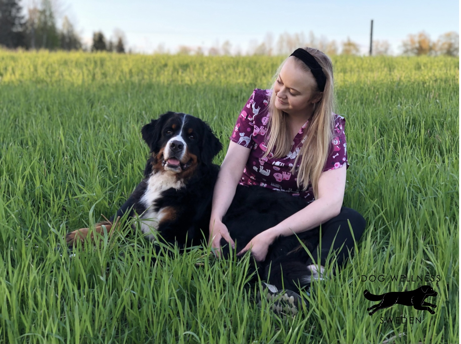 Hundsalong Hund Hundfrisör Kloklipp Hundbad Kil Karlstad Värmland Hundmassage Hundklipp Dog Wellness Sweden